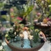 Lovely succulent arrangement with a cute, small, scenic pathway! Perfect for outdoor