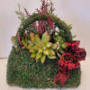 Everyone deserves a moss purse stuffed with succulents and varied holiday embellishments.
