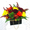 Feeling fancy? Send Posh Petals!

Gerbera daisy, chrysanthemum, waxflower, roses, spray carnations, dianthus