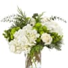 Bright winter design featuring fresh white and green blooms.

Place your Order Online