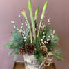 This arrangement makes for a great gift this holiday season. A birch