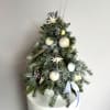 Oh Christmas Tree! This beautiful tree shaped arrangement is a fabulous gift