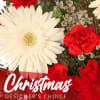 A festive and beautiful Christmas themed designer&#039;s choice with a mix of