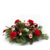This cheerful holiday centerpiece blends classic Christmas hues with a fresh, wintry