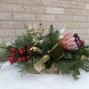 A beautiful Christmas centerpiece with winter greens, textual elements, a beautiful Protea