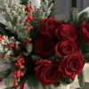 Celebrate the season with Christmas glowing lights, and stunning holiday blooms! Our