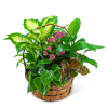 A Planter Basket is a perfect way to say happy birthday, get