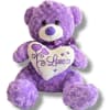 Teddy Bear Purple color, size Large