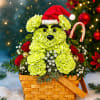 Bring a little mischief to Christmas with our Grinchy Holiday Puppy Basket.