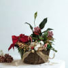 Bring the magic of the season into any home or office with