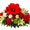 Red Amaryllis, Roses, Peonies, Mini green Hydrangea with greenery