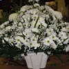 Sympathy mache - includes white spider mums, white daisies, white carnations, white