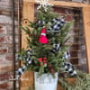 This fresh cut spruce top tree is placed in a winter themed