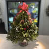 Beautiful Festive Boxwood Tree 