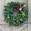 30" inch fresh wreath of cypress, holly and ilex berries.  Sure