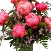 Color maybe white or  light pink this week Peony perfection! 
Everyone