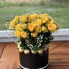 24 yellow roses with gypsophila and 12 Ferrero Rocher in a black