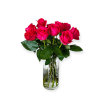 Minimalist dozen hot pink roses