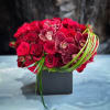 Two dozen premium Red Roses, Cymbidium Orchid, and nice greenery in ceramic