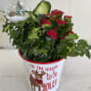 This sweet reindeer pail is filled with a blooming kalanchoe in red