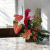 Bring the Tropics into your home with this gorgeous arrangement containing: Obaki