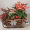 A festive wicker reindeer featuring holiday colors and faux embellishments. It will