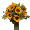 This summer bouquet includes: 12 Sunflowers, Solidago yellow, green foliage in a