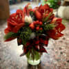 This little stunner captures the holiday season in a vase. Amaryllis, direct