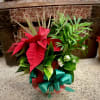 A lovely assortment of green and blooming plants with a poinsettia as