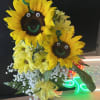 two sunflowers with Daisis 