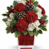 Deliver a winter's day delight. This sweet bouquet includes red carnations and