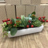 Succulents &amp; kalanchoe planted in a Holiday theme will last the whole