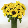 TALL VASE OF SUNFLOWERS WRAPPED IN GREENERY. 