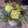 Full green hydrangea is paired with rich seasonal evergreens, bright red berry