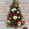 A beautiful Christmas tree, great gifts for office spaces, parties, events, and