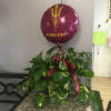 Lg. philodendrum (pothos) w/ ASU balloon included