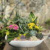 A lovely mix of succulents, bloomers, and earth elements arranged beautifully in