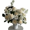 A clean, timeless all-white arrangement featuring creamy ivory roses with soft lisianthus