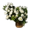 Bold white spray roses arranged with lush greenery in a matte-gold vase.
