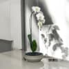 A high quality Single white orchid arrangement with a vase 9" D