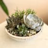 A mix of succulents, rocks, and seasonal touches for a very natural
