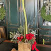 A beautiful amaryllis plant decorated with Christmas and in an elegant basket.
RED