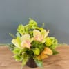 A smaller sized arrangement of longer lasting green flowers, including cymbidium orchids