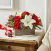 A snowy blend of red and white blooms makes this bouquet the