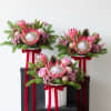 Modern clean and beautiful holiday floral arrangement. Send some joy and holiday