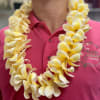 The plumeria lei is a beloved symbol of aloha in Hawaiian culture
