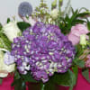 Purple Hydrangea, Purple Hydrangea, White Garden Roses, Pink Garden Roses, Lisianthus, Spray