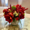 A bright arrangement of red seasonal blooms dressed with fresh winter greens.