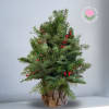 Recipe: Fresh Pine tree with red berries decorated in a wood like