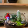 A Bowl  terrarium is a self-contained, miniature ecosystem inside a clear